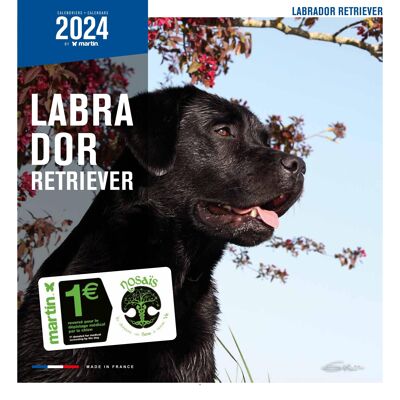 Calendario Labrador 2024 (ms)