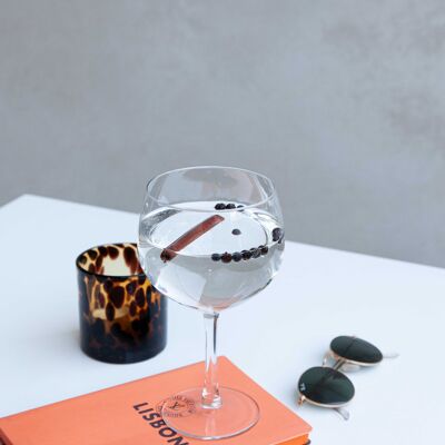 Luxus-Set mit 2 Gin Tonic Gläsern