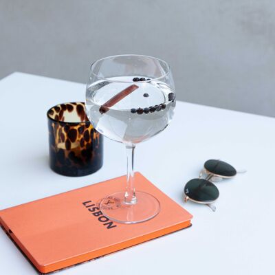 Luxus-Set mit 2 Gin Tonic Gläsern