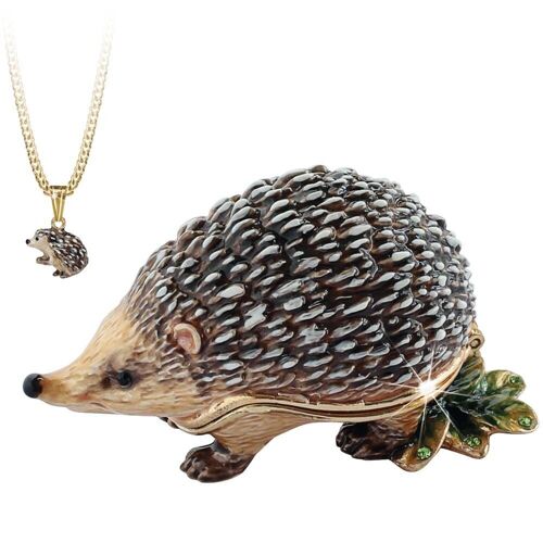 Hedgehog