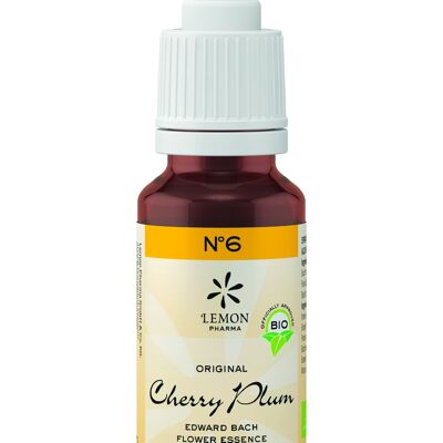 No. 6 Cherry Plum – Cerasifera