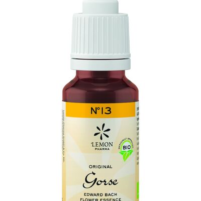 N. 13 Gorse – Gorse