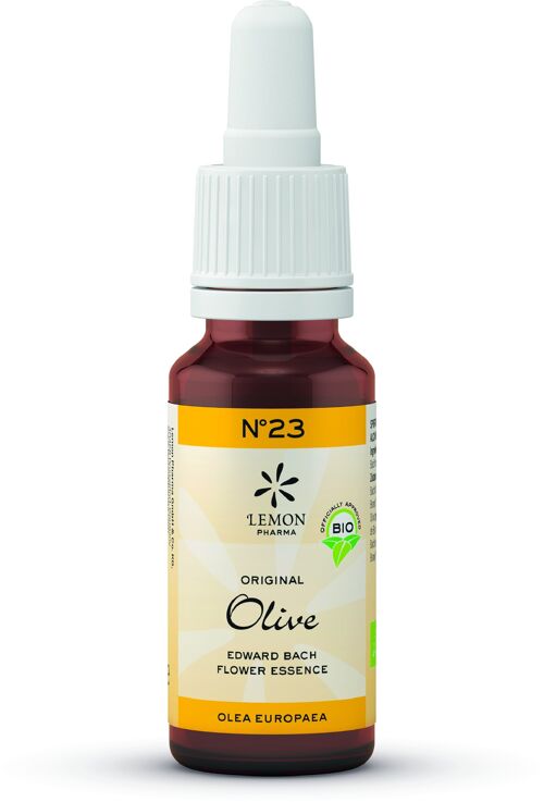 Nº 23 Olive – Oliva