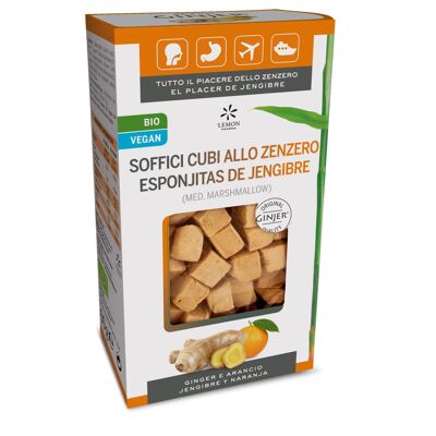 Caramelos ecológicas Ginjer-Esponjitos Bio 60g