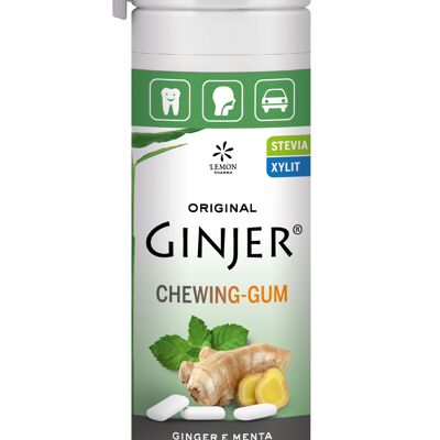 Ginjer chewing gum alla menta 30g