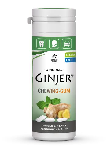 Ginjer Chewing Gum Menthe 30g 1