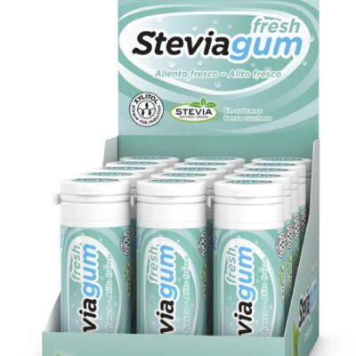 Steviagum Fresh - Strong Mint chewing gum 15 u.