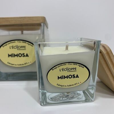 SCENTED CANDLE WAX 100% VEGETABLE SOYA - 6X6 80 G MIMOSA