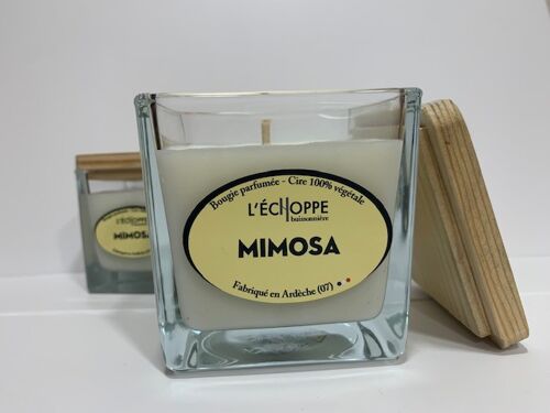 BOUGIE PARFUMEE CIRE 100 % VEGETALE SOJA - 8X8 190 G MIMOSA