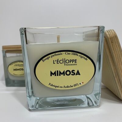 SCENTED CANDLE WAX 100% VEGETABLE SOYA - 8X8 190 G MIMOSA
