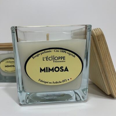 SCENTED CANDLE WAX 100% VEGETABLE SOYA - 8X8 190 G MIMOSA