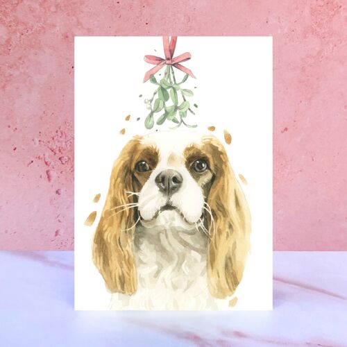 Cavalier King Charles Spaniel Mistletoe Christmas Card