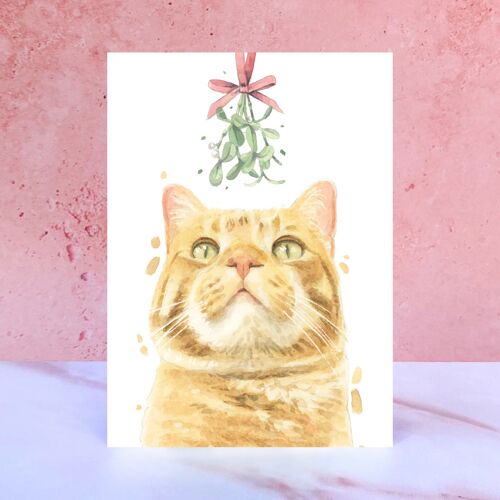 Ginger Tabby Cat Mistletoe Christmas Card