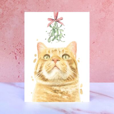Ingwer-Tabby-Katzen-Mistelzweig-Weihnachtskarte
