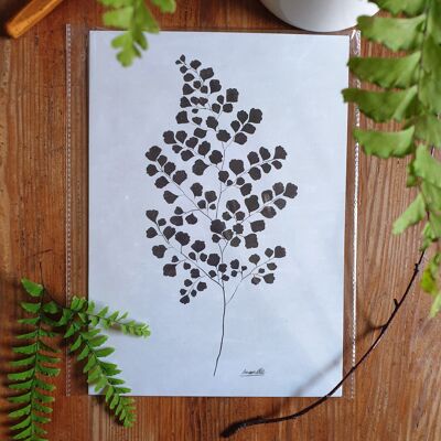Scandi Plant Poster "Black Adiantum" A4 - Impresiones artísticas sostenibles sobre papel reciclado en celofán