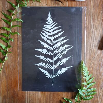 Scandi Fern Poster "White Fern" A4 - Sustainable art prints on recycled paper in cellophane