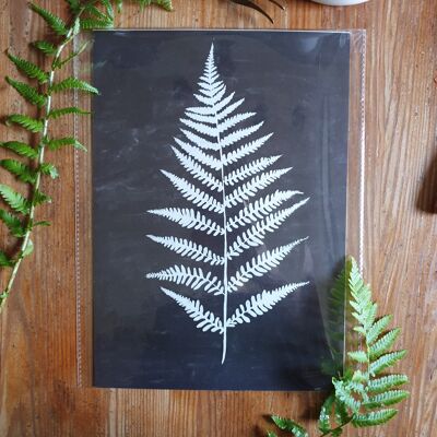 Scandi Fern Poster "White Fern" A4 - Sustainable art prints on recycled paper in cellophane