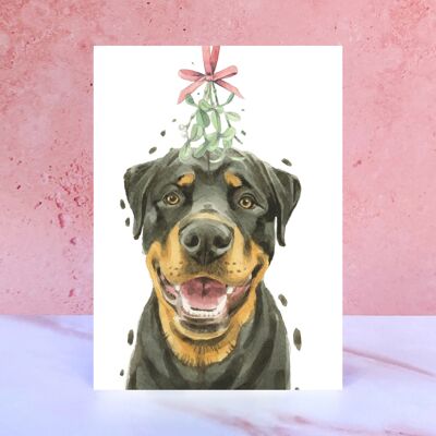 Rottweiler Mistletoe Christmas Card