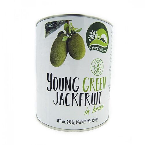 Vegan Jackfruit in salt water (large can)