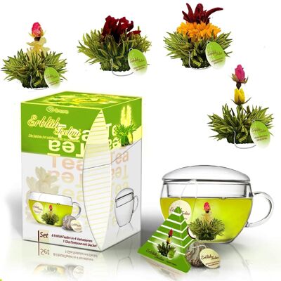 Creano AbloomTeelini Coffret cadeau de fleurs de thé avec verre à thé et 8 tasses de fleurs de thé cadeau de thé vert