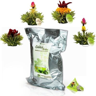 AbloomTeelini "Green Tea" Pack of 72