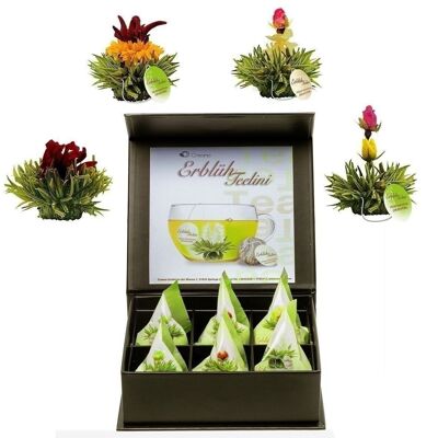 Creano 6 fiori di tè Teelini tè verde - in scatola magnetica con goffratura argento - 4 diverse varietà