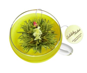 Fleurs de thé Creano en format tasse "ErbloomTeelini" - 8 fleurs de thé en 4 variétés différentes (thé vert) 2