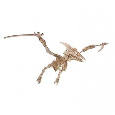 Bouwpakket Pterosaurus- kleur