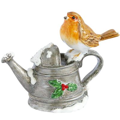 Robin on Watering Can