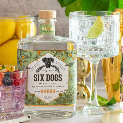 Six chiens Karoo Gin