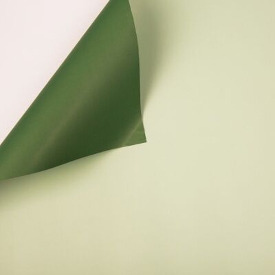 Rollo foil duo color 58cm x 10m - Verde oscuro / Verde claro