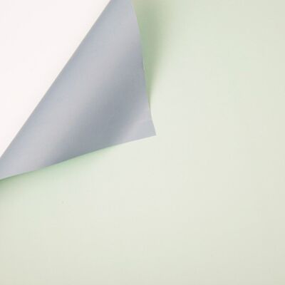 Rouleau foil bicolore 58cm x 10m - Bleu clair / Vert clair