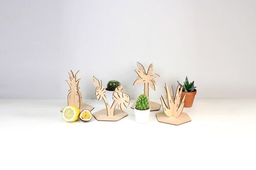 Kit plantes à bijoux tropique Aloa, Anana, Deliciosa, Palma - (made in France) en bois de Bouleau
