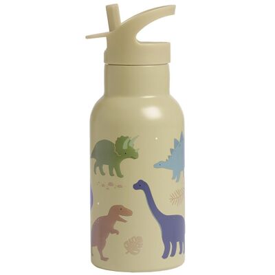 Thermos flask dinosaurs