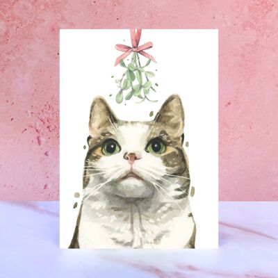 Cartes de Noël de gui de chat tigré et blanc