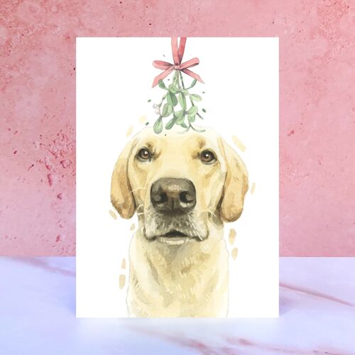 Yellow Labrador Mistletoe Christmas Card