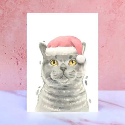 Carte de Noël pompon chat British Shorthair