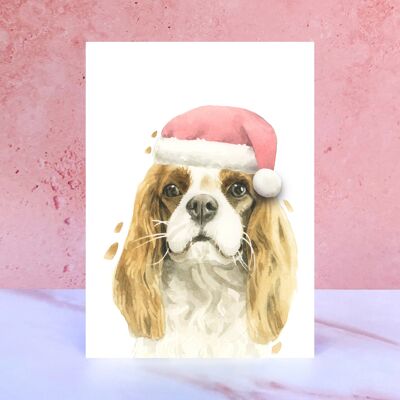 Cavalier King Charles Pompom Spaniel Weihnachtskarte