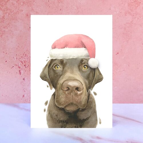 Chocolate Labrador Pompom Christmas Card