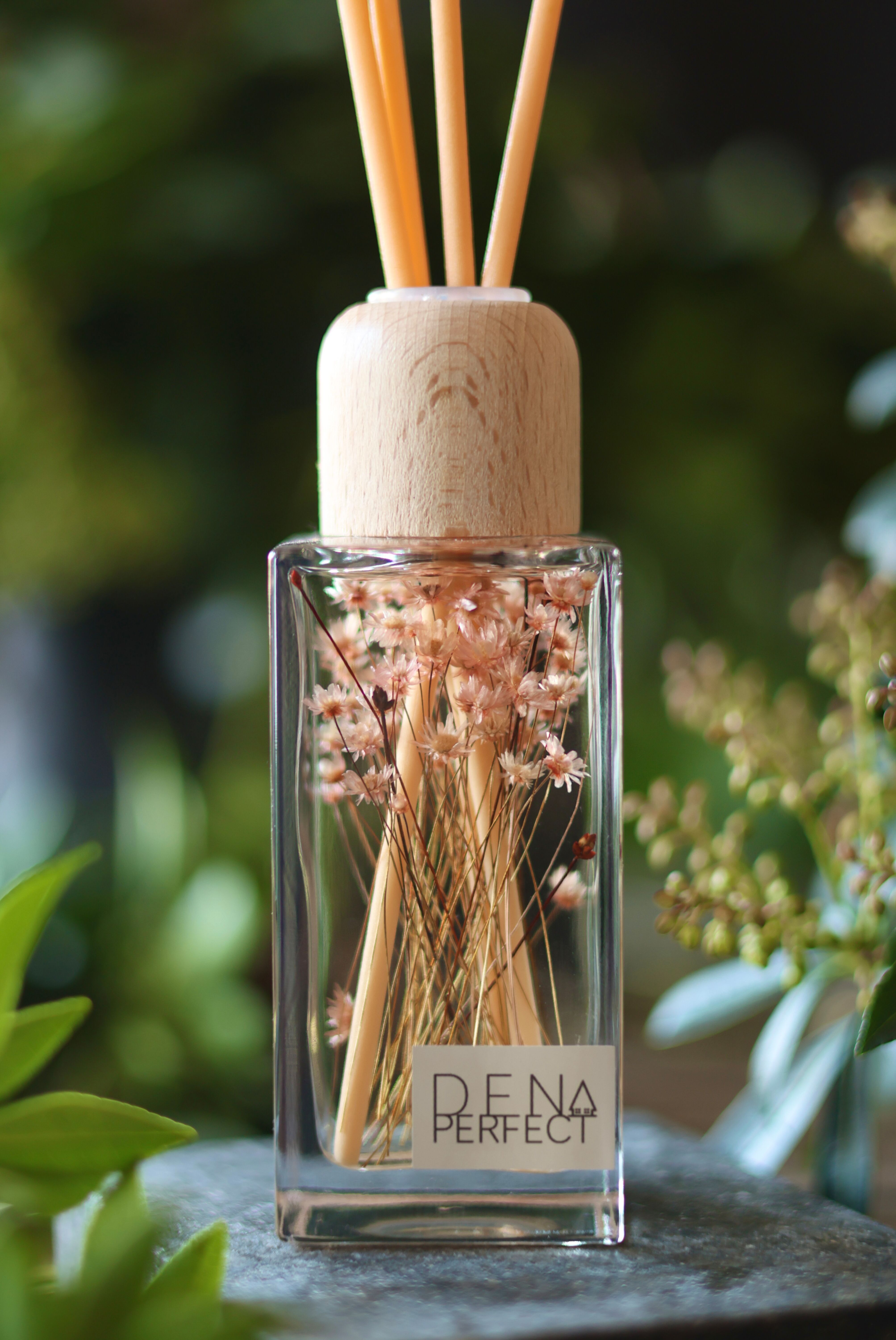 Diffuseur d'Ambiance Botanique – Sel Rose & Bois