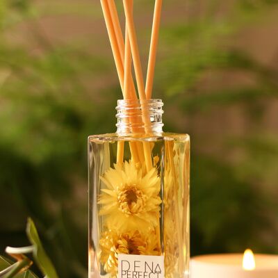 Botanical Reed Diffusor - Samtpfingstrose