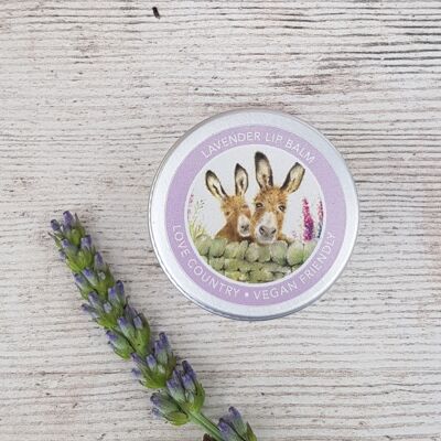 Lavendel-Lippenbalsam (6er-Pack)