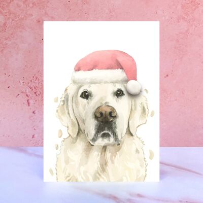 Carte de Noël Pompon Golden Retriever Crème Anglaise