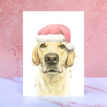 Carte de Noël pompon jaune Labrador 1