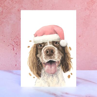 Springer Spaniel Pompom Weihnachtskarte