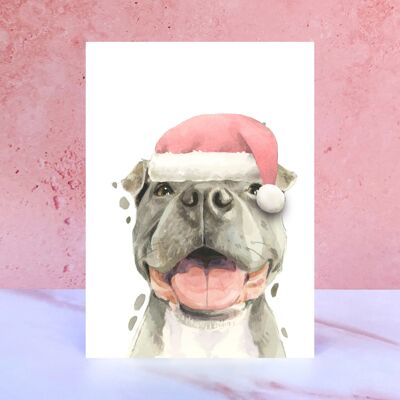 Carte de Noël pompon Staffordshire Bull Terrier