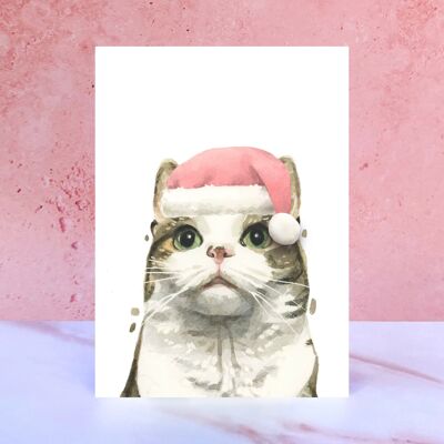 Tabby und weiße Katze Pompom Weihnachtskarte