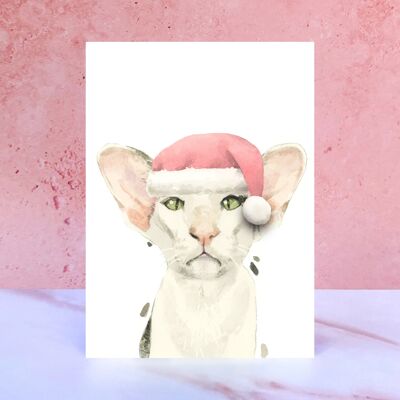 Oriental Shorthair Pompom Christmas Card