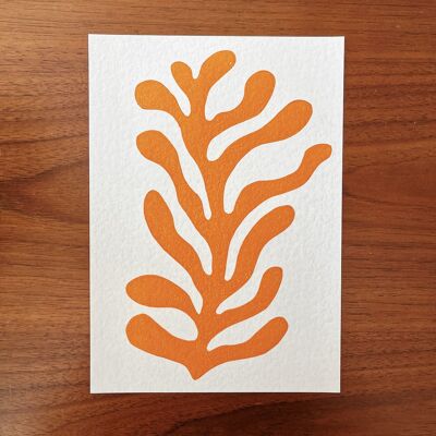 Coral - A5 Lino Print - Orange