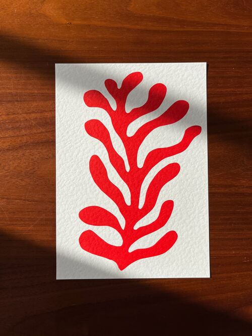 Coral - A5 Lino Print - Red